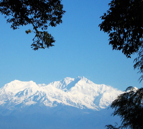 Ideal Sikkim Darjeeling Family Tour