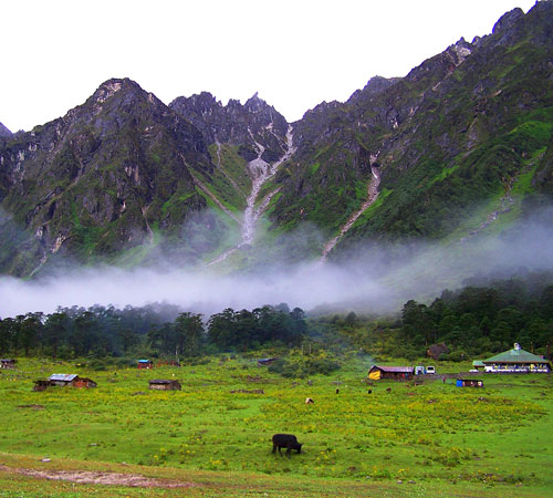 Family Tour to Gangtok