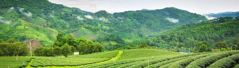 Darjeeling