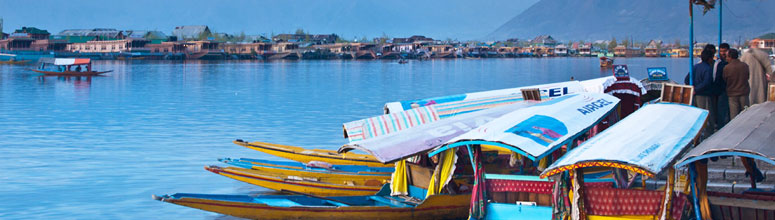 Kashmir
